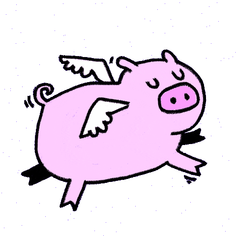Where Pigs Now Fly